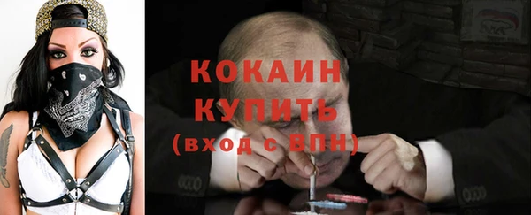 твердый Арсеньев
