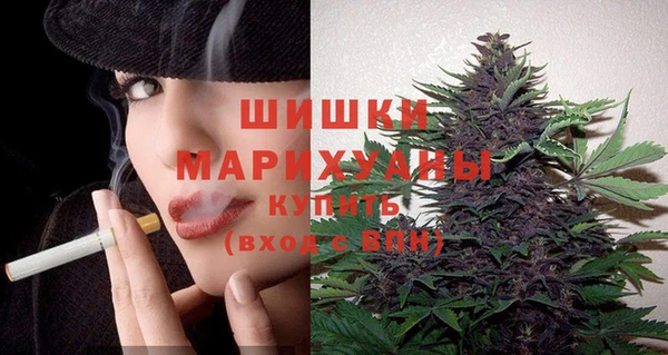 твердый Арсеньев