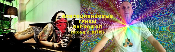 твердый Арсеньев