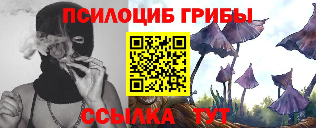 Псилоцибиновые грибы прущие грибы Саянск